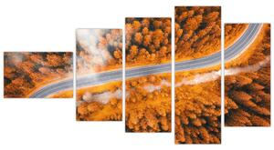 Cesta lesom - moderné obrazy na stenu (Obraz 110x60cm)