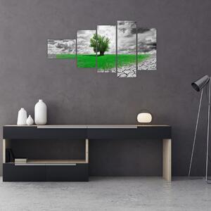 Zelený ostrov vo vyprahnutej krajine - obrazy do obývačky (Obraz 110x60cm)