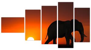 Obraz slona v zapadajúcom slnku (Obraz 110x60cm)
