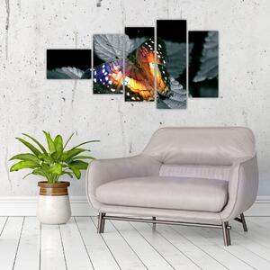 Motýľ na liste - obraz (Obraz 110x60cm)
