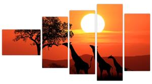 Obraz žirafy pri západe slnka (Obraz 110x60cm)