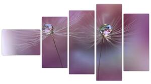 Obraz - kvet s kvapkami vody (Obraz 110x60cm)