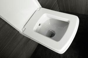 Aqualine, SOLUZIONE závesná WC misa s bidet. spŕškou, 35x50,5cm, biela, 10SZ02002 DL