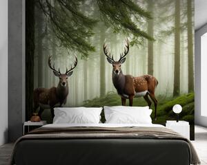 Tapety Majestátny jeleň v lese, Fototapety zvieratá, Fototapety soby, u94515 : Uwalls.sk