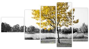 Obraz žltého stromu v prírode (Obraz 110x60cm)