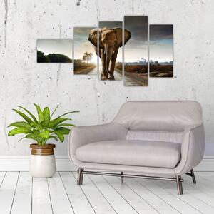 Obraz kráčajúceho slona (Obraz 110x60cm)