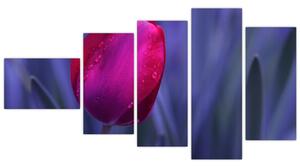 Obraz - tulipán (Obraz 110x60cm)