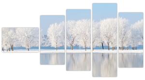 Obraz - zimná príroda (Obraz 110x60cm)