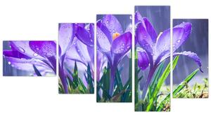 Obraz kvetov pri daždi (Obraz 110x60cm)