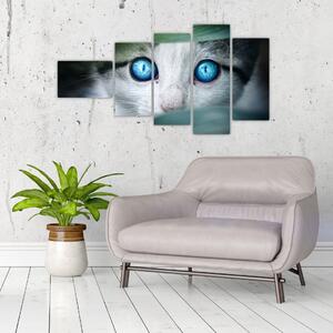 Obraz mačky, žiarivé oči (Obraz 110x60cm)