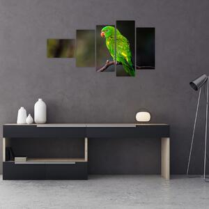 Obraz zeleného papagája (Obraz 110x60cm)