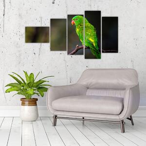Obraz zeleného papagája (Obraz 110x60cm)