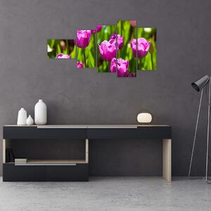 Obraz kvitnúcich tulipánov (Obraz 110x60cm)