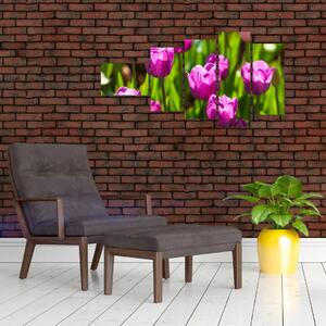 Obraz kvitnúcich tulipánov (Obraz 110x60cm)