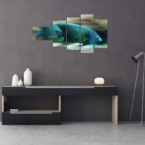 Obraz na stenu - ryby (Obraz 110x60cm)