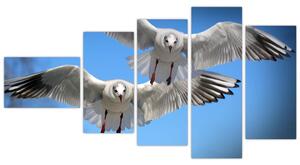 Obraz do bytu - vtáky (Obraz 110x60cm)