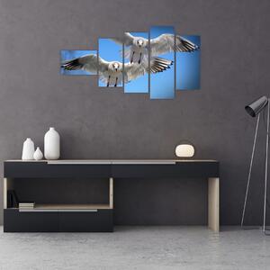 Obraz do bytu - vtáky (Obraz 110x60cm)