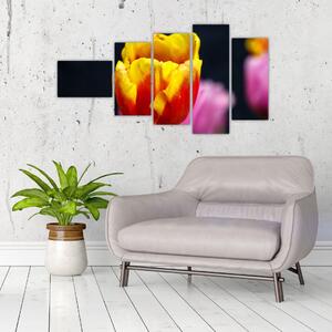Obraz tulipánu (Obraz 110x60cm)
