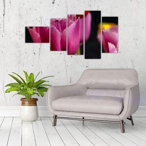 Tulipány - obrazy (Obraz 110x60cm)