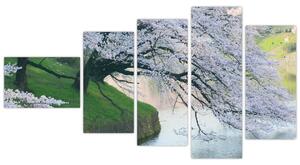 Obraz kvitnúcich stromov (Obraz 110x60cm)