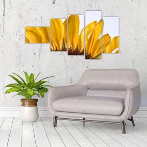 Obraz kvetu slnečnice (Obraz 110x60cm)