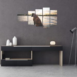Obraz - sediaci pes (Obraz 110x60cm)