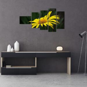 Obraz žltého kvetu (Obraz 110x60cm)