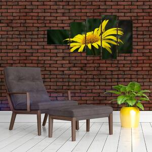 Obraz žltého kvetu (Obraz 110x60cm)