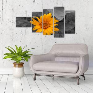 Obraz oranžového kvetu (Obraz 110x60cm)