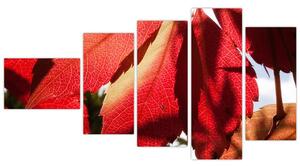 Obraz červených listov (Obraz 110x60cm)