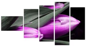 Obraz fialových tulipánov (Obraz 110x60cm)