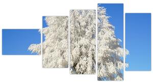 Zasnežený strom - obraz (Obraz 110x60cm)
