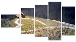 Cesta vo vinici v tvare srdca (Obraz 110x60cm)