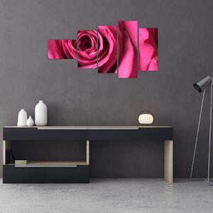 Obraz ružové ruže (Obraz 110x60cm)