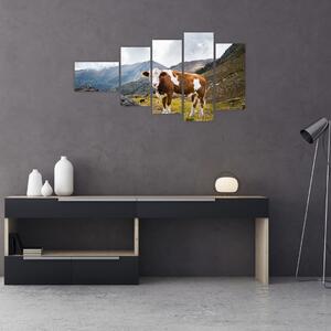 Obraz kravy na lúke (Obraz 110x60cm)