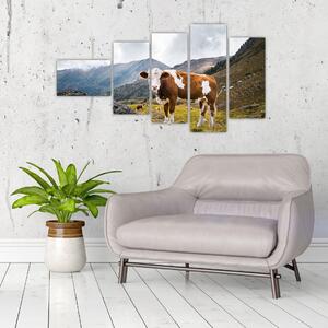 Obraz kravy na lúke (Obraz 110x60cm)