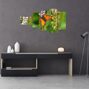 Moderný obraz motýľa na lúke (Obraz 110x60cm)