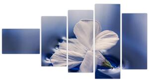 Obraz bieleho kvetu vo vode (Obraz 110x60cm)