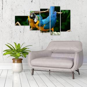 Obraz papagájov na lane (Obraz 110x60cm)
