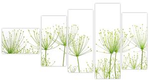 Obraz rastlín na bielom pozadí (Obraz 110x60cm)