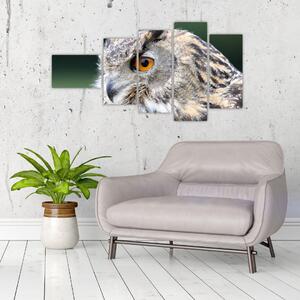 Vyzerajúce sova - obraz (Obraz 110x60cm)