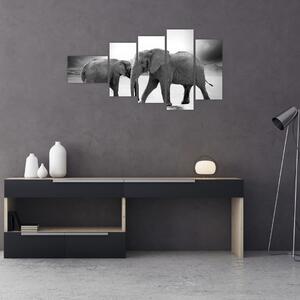 Obraz - slony (Obraz 110x60cm)