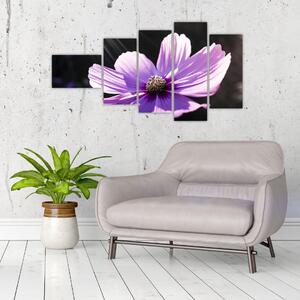 Obraz fialového kvetu (Obraz 110x60cm)