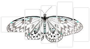 Čiernobiely motýľ (Obraz 110x60cm)