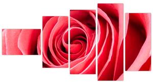 Obraz červené ruže (Obraz 110x60cm)
