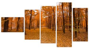 Obraz lesné cesty (Obraz 110x60cm)