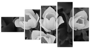 Čiernobiele kvety (Obraz 110x60cm)