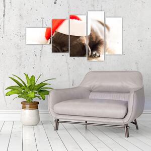 Obraz psa s čiapkou (Obraz 110x60cm)