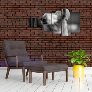Čiernobiely obraz psa (Obraz 110x60cm)