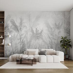 Tapety Lúka v striebornom opare, Fototapety s prírodnými motívmi, u93903v4 : Uwalls.sk